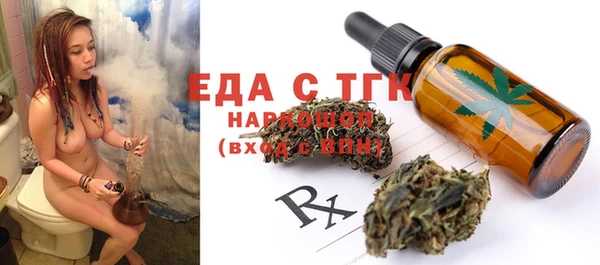 индика Покачи