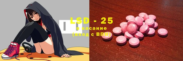 индика Покачи