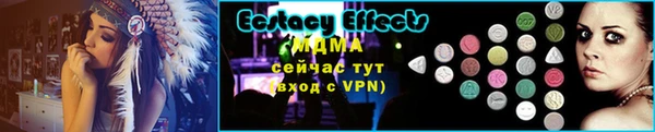 индика Покачи