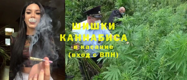 индика Покачи
