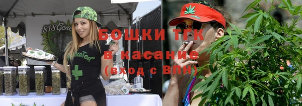 индика Покачи