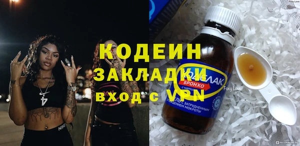 индика Покачи