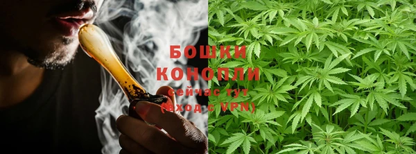 индика Покачи