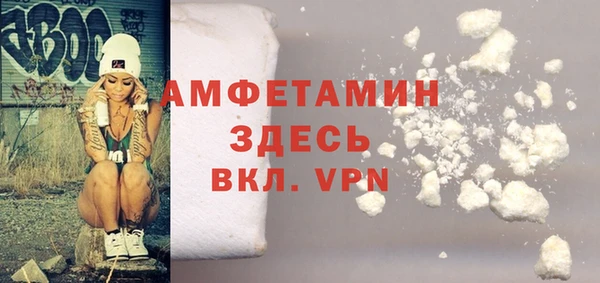индика Покачи