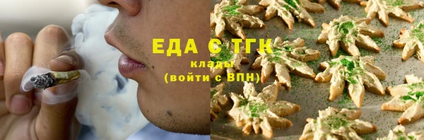 индика Покачи