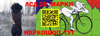стафф Гай