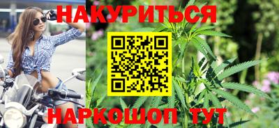 стафф Гай