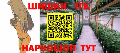 стафф Гай
