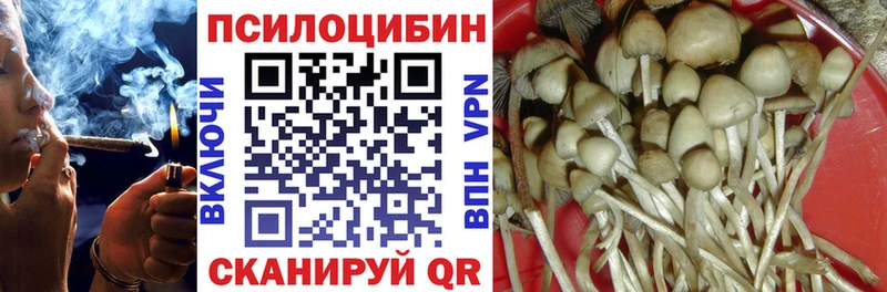 Галлюциногенные грибы Magic Shrooms Анжеро-Судженск