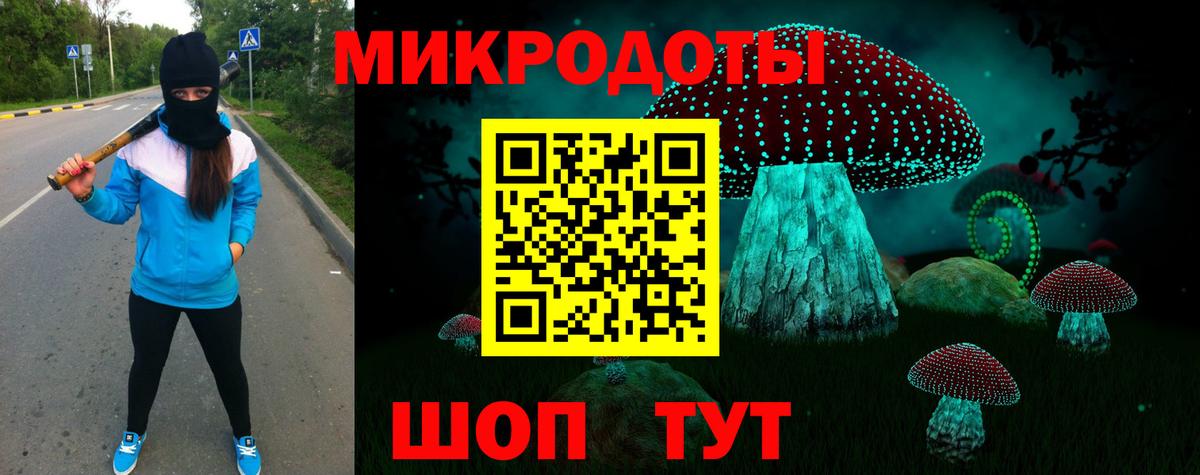 Псилоцибиновые грибы Cubensis Анжеро-Судженск