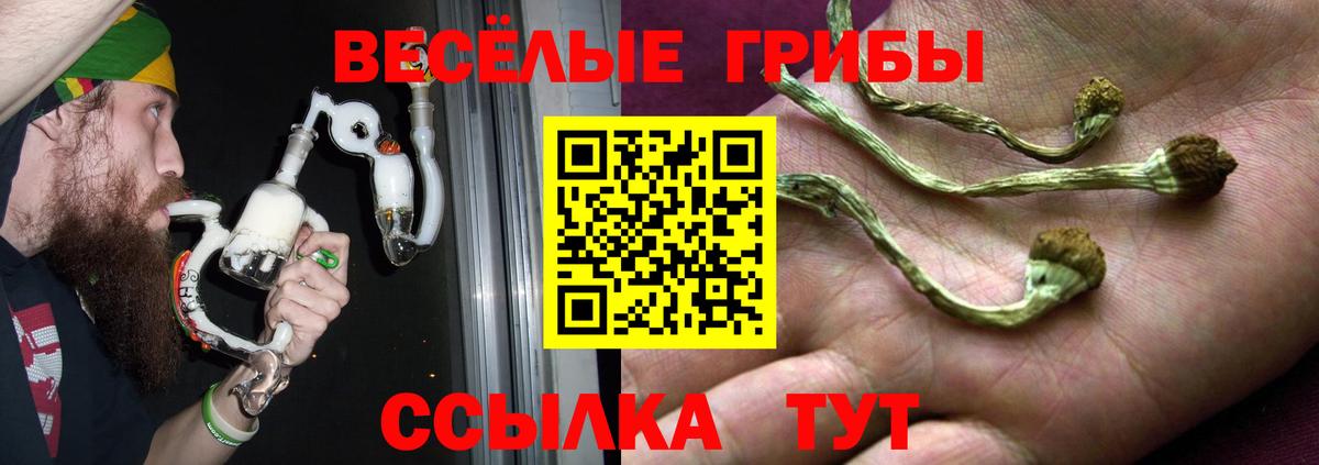 Галлюциногенные грибы MAGIC MUSHROOMS  Вход с VPN  Галлюциногенные грибы мухоморы  как найти   Анжеро-Судженск 