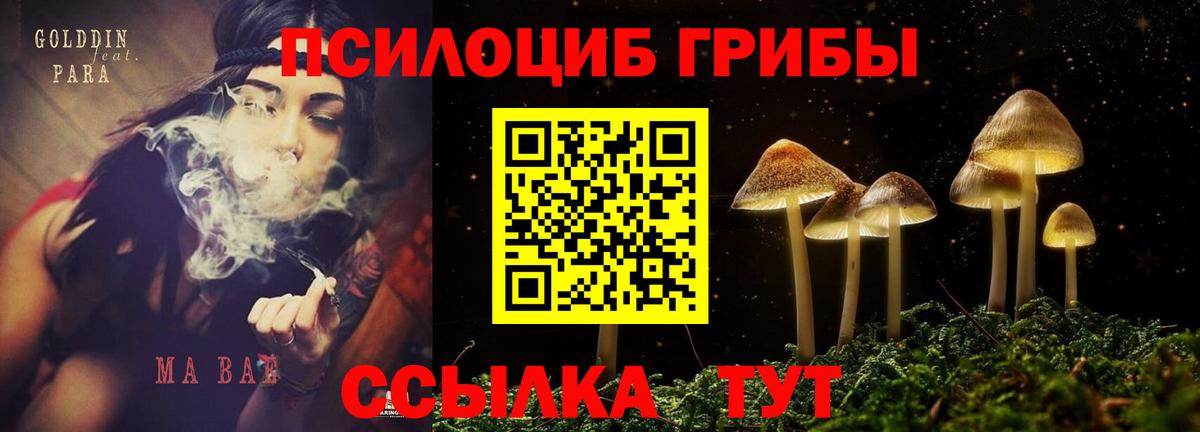 Галлюциногенные грибы MAGIC MUSHROOMS  купить  сайты  Анжеро-Судженск 